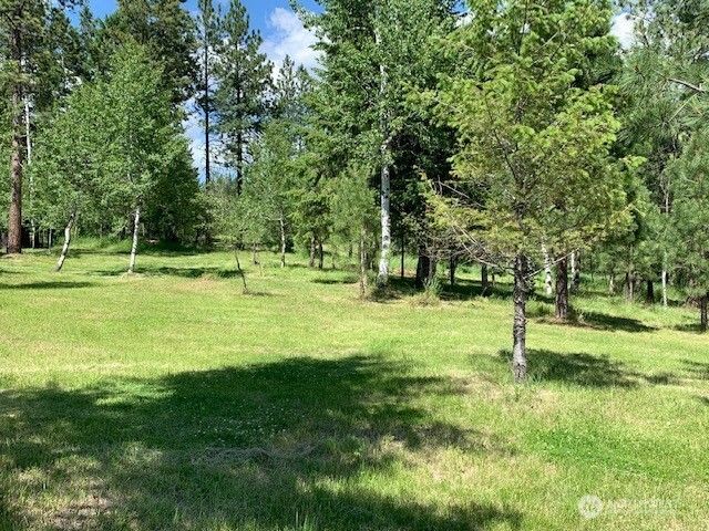 35 Low Ridge Road, Malo, WA 99150