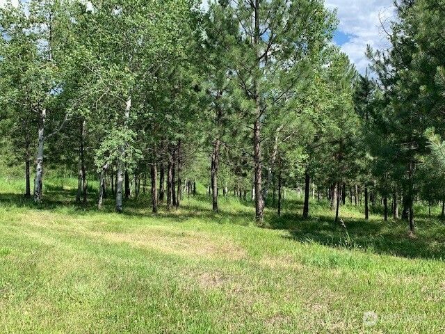 35 Low Ridge Road, Malo, WA 99150