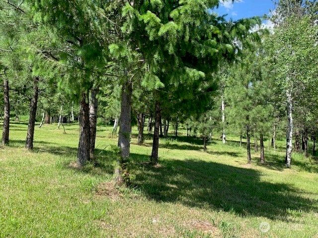 35 Low Ridge Road, Malo, WA 99150