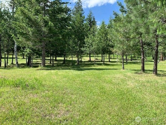 35 Low Ridge Road, Malo, WA 99150