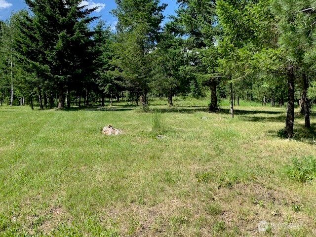 35 Low Ridge Road, Malo, WA 99150