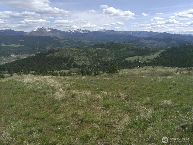 35 Low Ridge Road, Malo, WA 99150