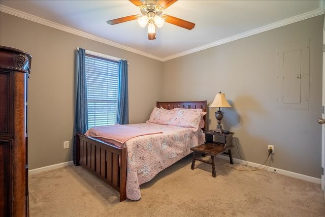 30 Taylor Cir, Ethridge, TN 38456
