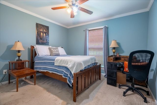 30 Taylor Cir, Ethridge, TN 38456