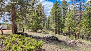 26 N Eldorado Circle, Florissant, CO 80816