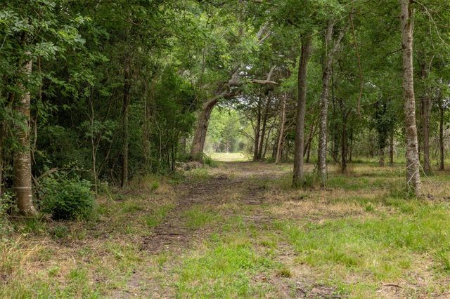 00 Ives Creek Road, Bellville, TX 77418
