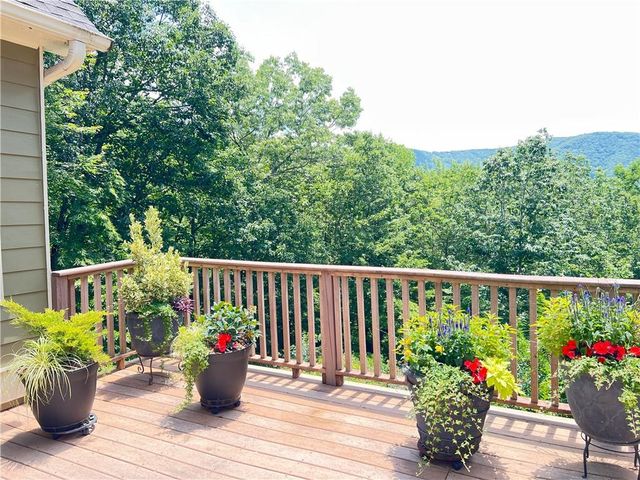 61 Sharp Top Mountain, Jasper, GA 30143