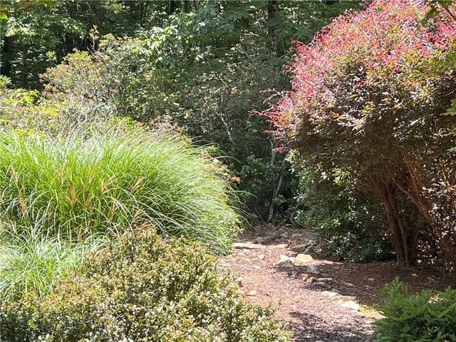 61 Sharp Top Mountain, Jasper, GA 30143