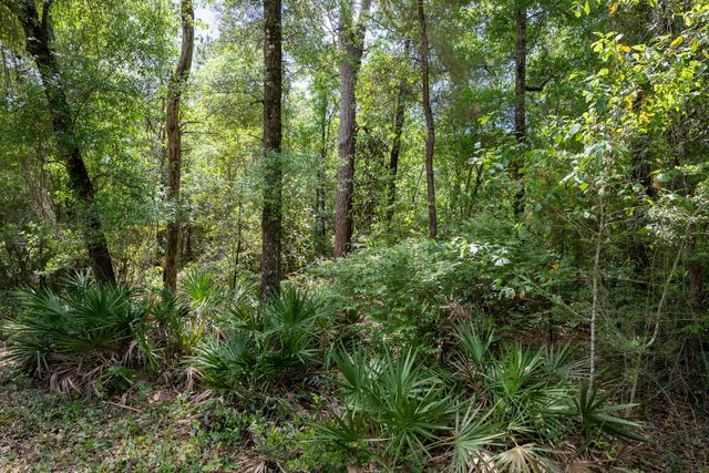 Lot X Piney Point Road, Freeport, FL 32439
