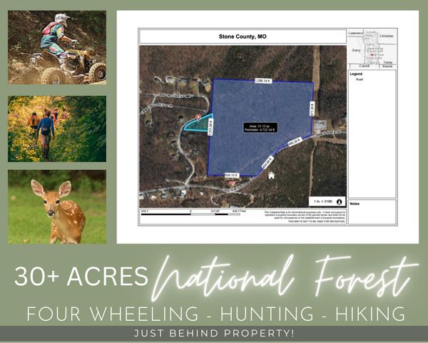 175 Canyon Forest Circle, Kimberling City, MO 65686