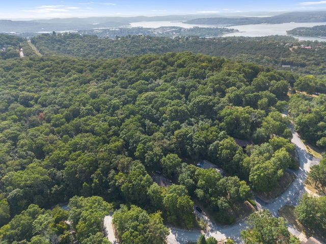 175 Canyon Forest Circle, Kimberling City, MO 65686