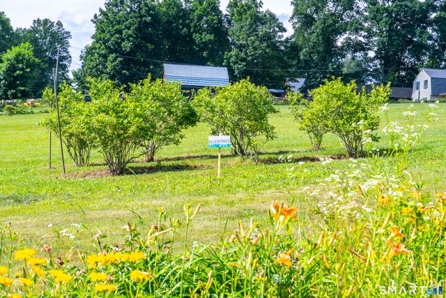 29 Braaten Hill Road, Woodstock, CT 06281