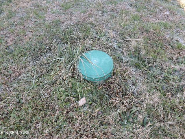 223 Ulysses Daniels Lane, Harrogate, TN 37752