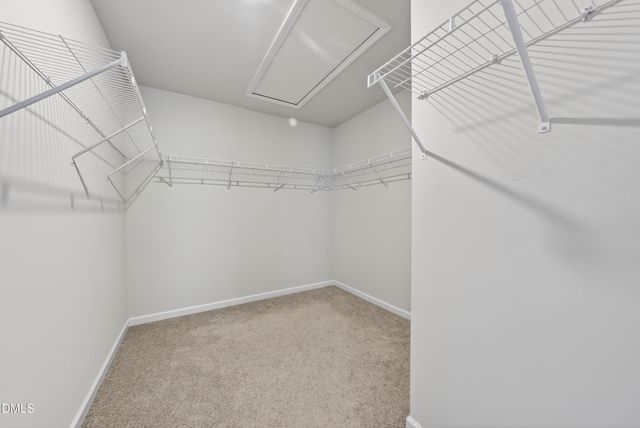 114 Curling Creek Drive, Clayton, NC 27527