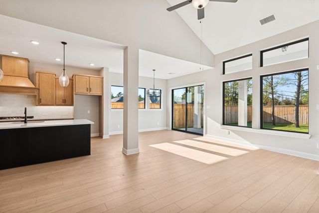 26540 Pioneer Pointe Court, Montgomery, TX 77316