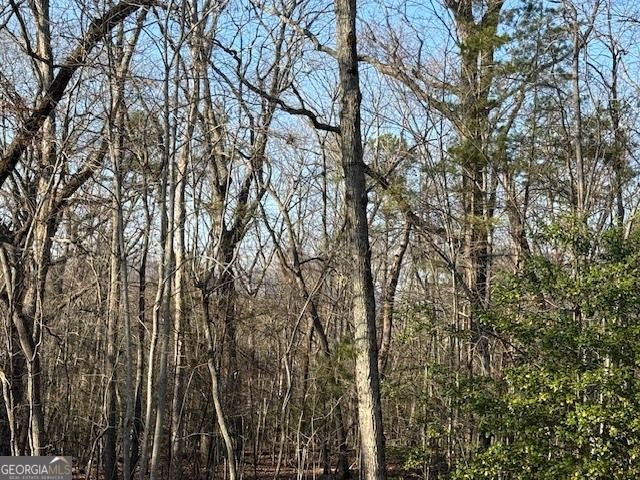 290 Eli Knob Road, Cleveland, GA 30528