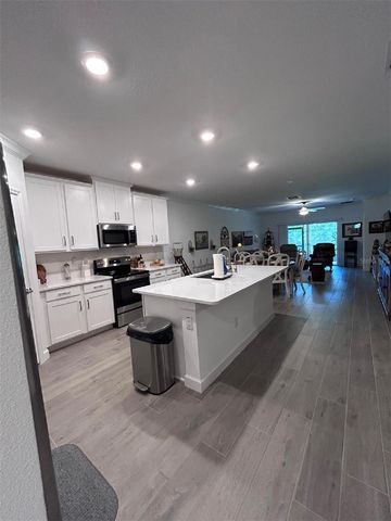 16919 FORGE SURF STREET, Land O Lakes, FL 34638