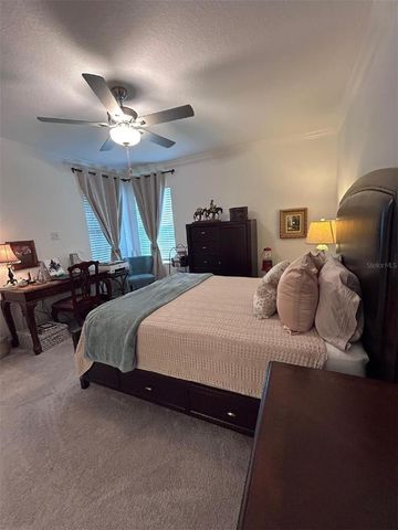 16919 FORGE SURF STREET, Land O Lakes, FL 34638