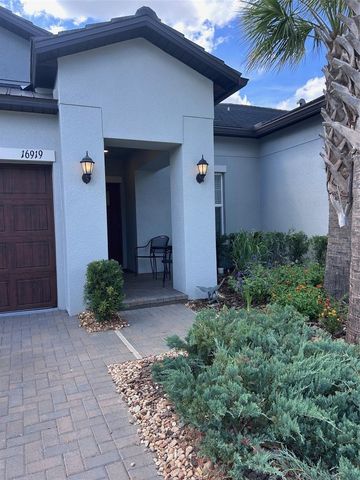 16919 FORGE SURF STREET, Land O Lakes, FL 34638