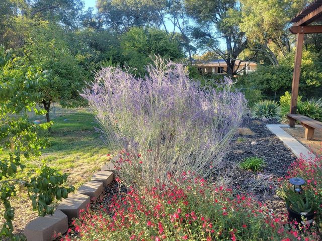 8472 Joe Rodgers Rd, Granite Bay, CA 95746