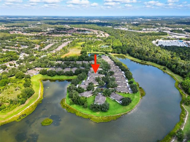 19120 WHITE WING PLACE, Tampa, FL 33647