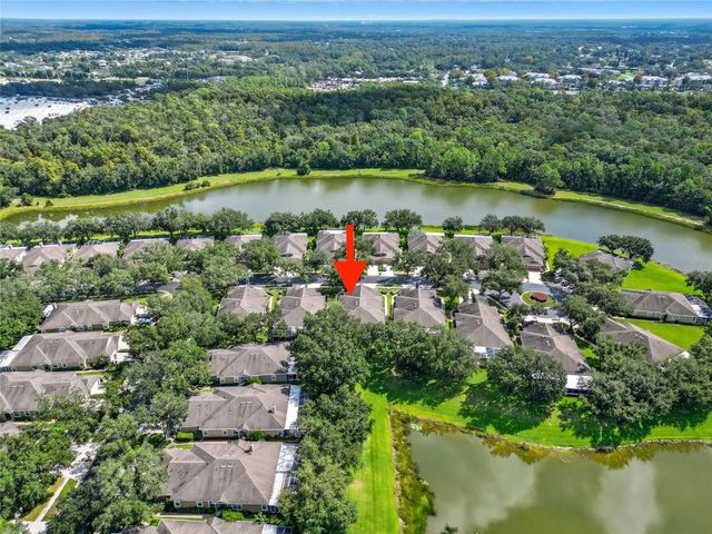 19120 WHITE WING PLACE, Tampa, FL 33647