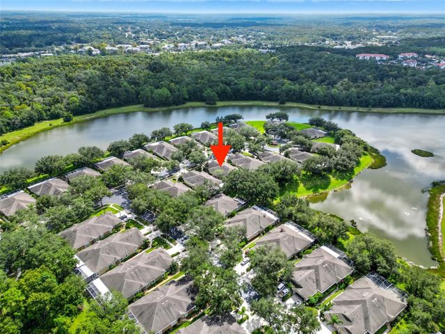 19120 WHITE WING PLACE, Tampa, FL 33647