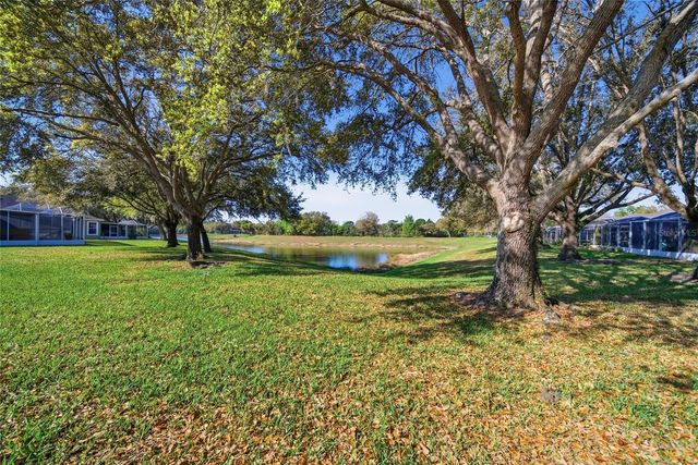 19120 WHITE WING PLACE, Tampa, FL 33647