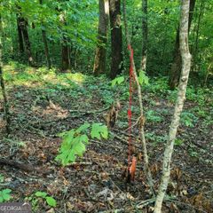 154-5 Dogwood Circle, Hayesville, NC 28904