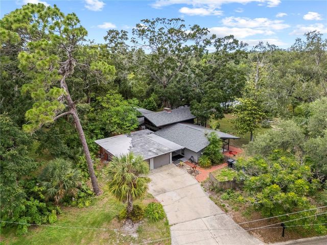 10134 WHITE TROUT LANE, Tampa, FL 33618