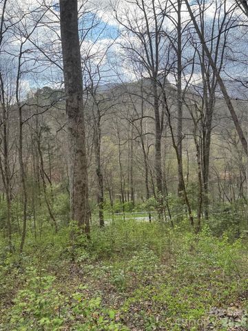 315 N River Road, Sylva, NC 28779