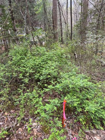 315 N River Road, Sylva, NC 28779