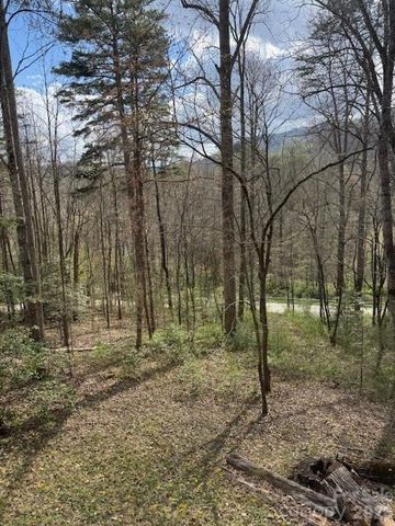 315 N River Road, Sylva, NC 28779