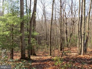12 & 14A CEDCARWOOD, Mathias, WV 26812
