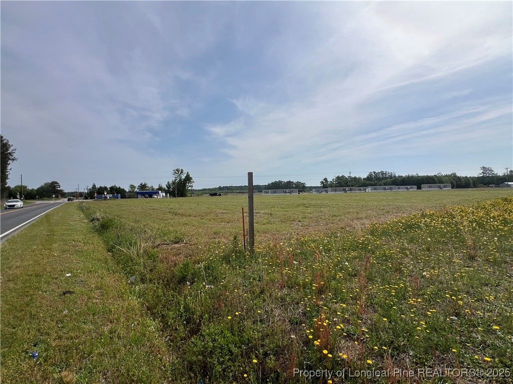 Hwy. 211, Red Springs, NC 28371 — photo 4