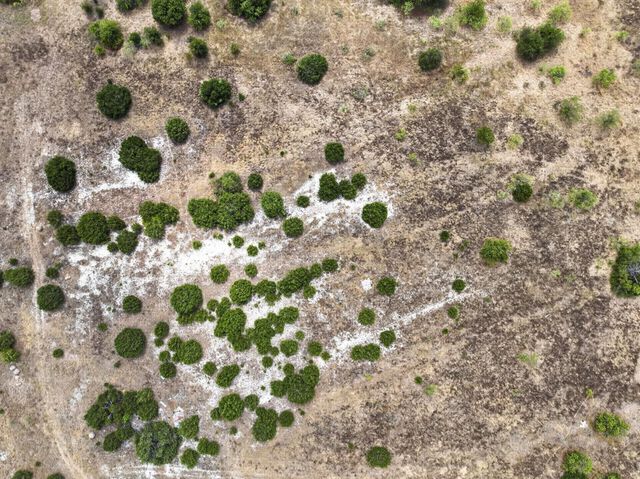 8620 County Road 1014, Joshua, TX 76058