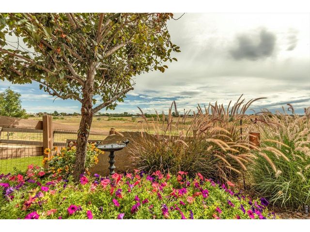 15912 St Paul St, Thornton, CO 80602