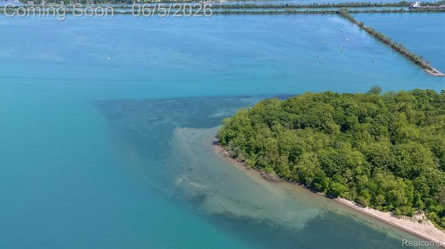 28195 Elba Drive, Grosse Ile Township, MI 48138