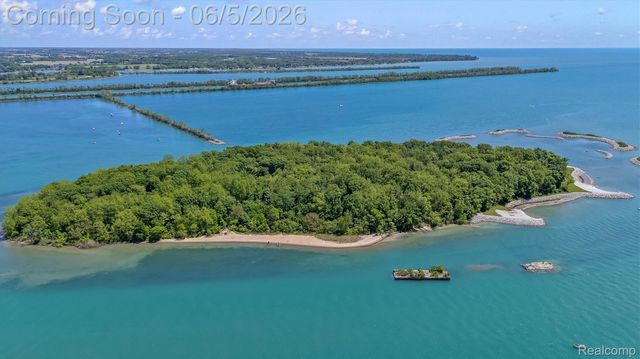 28195 Elba Drive, Grosse Ile Township, MI 48138