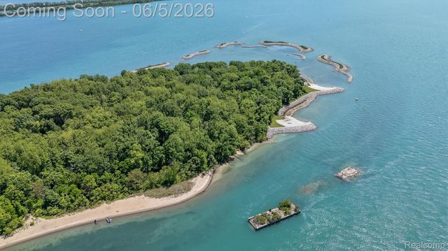 28195 Elba Drive, Grosse Ile Township, MI 48138
