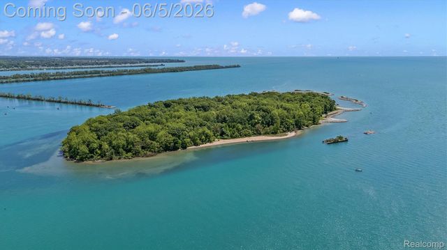 28195 Elba Drive, Grosse Ile Township, MI 48138
