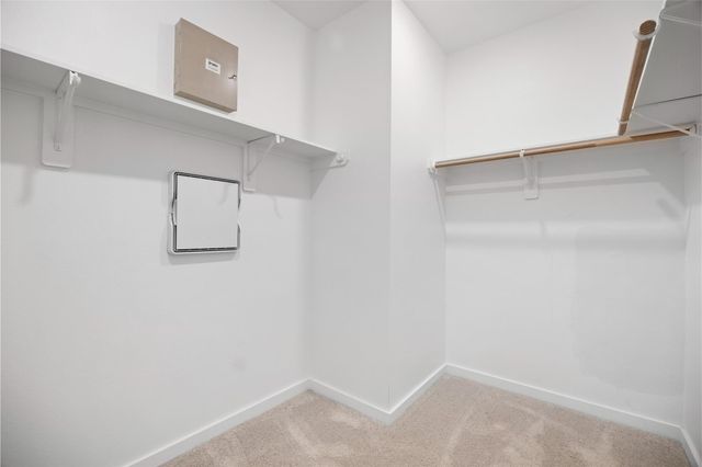 6314 Parlor Palm Drive, Manvel, TX 77578