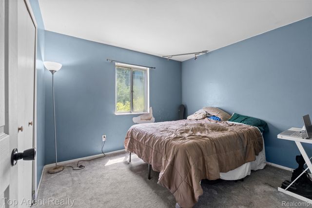 227 W Peterson Drive, Brighton, MI 48114