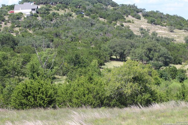 239 Flickering Sky Circle, Blanco, TX 78606