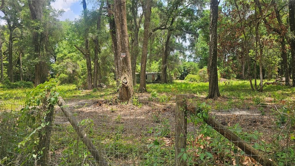 17693 SE 30TH AVENUE, Summerfield, FL 34491