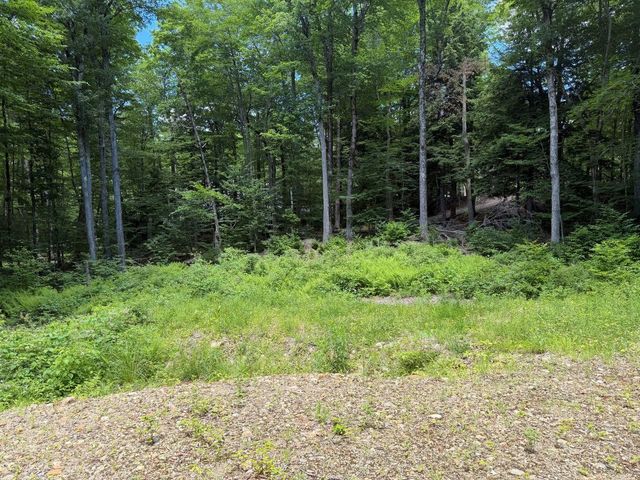 151 Red Coat Lane, Stoddard, NH 03464