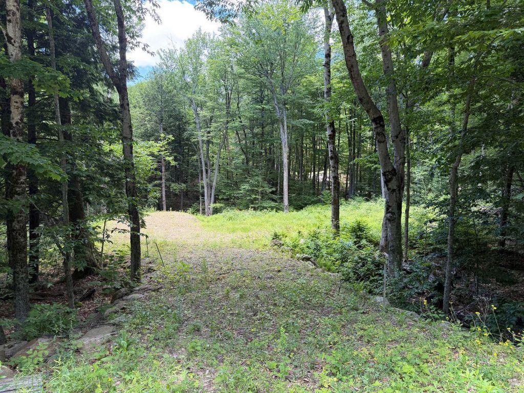 151 Red Coat Lane, Stoddard, NH 03464