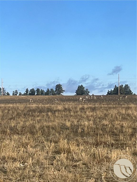 647 Majerus - Lot 1 Road, Roundup, MT 59072 photo 2