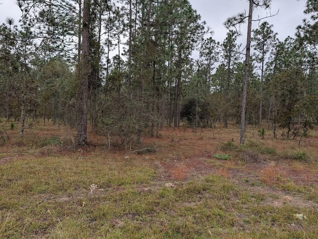 lot 13 NW GERANIUM AVENUE, Dunnellon, FL 34431