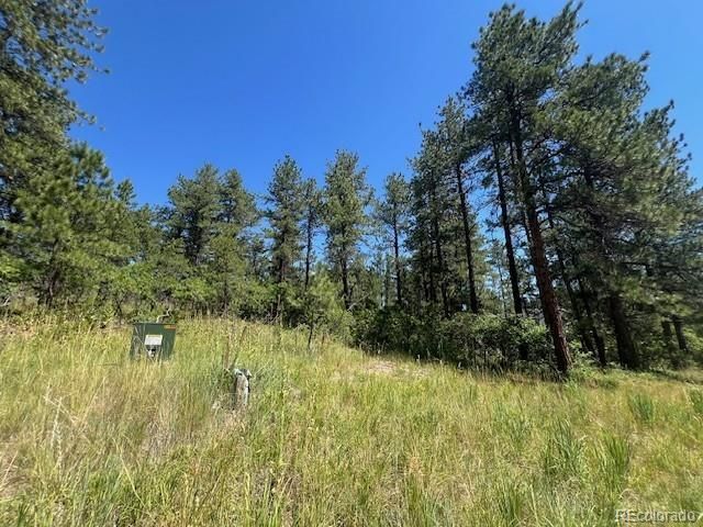 773 Copper Fox Place, Larkspur, CO 80118